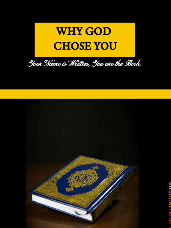 WHY GOD CHOSE YOU product image (1)