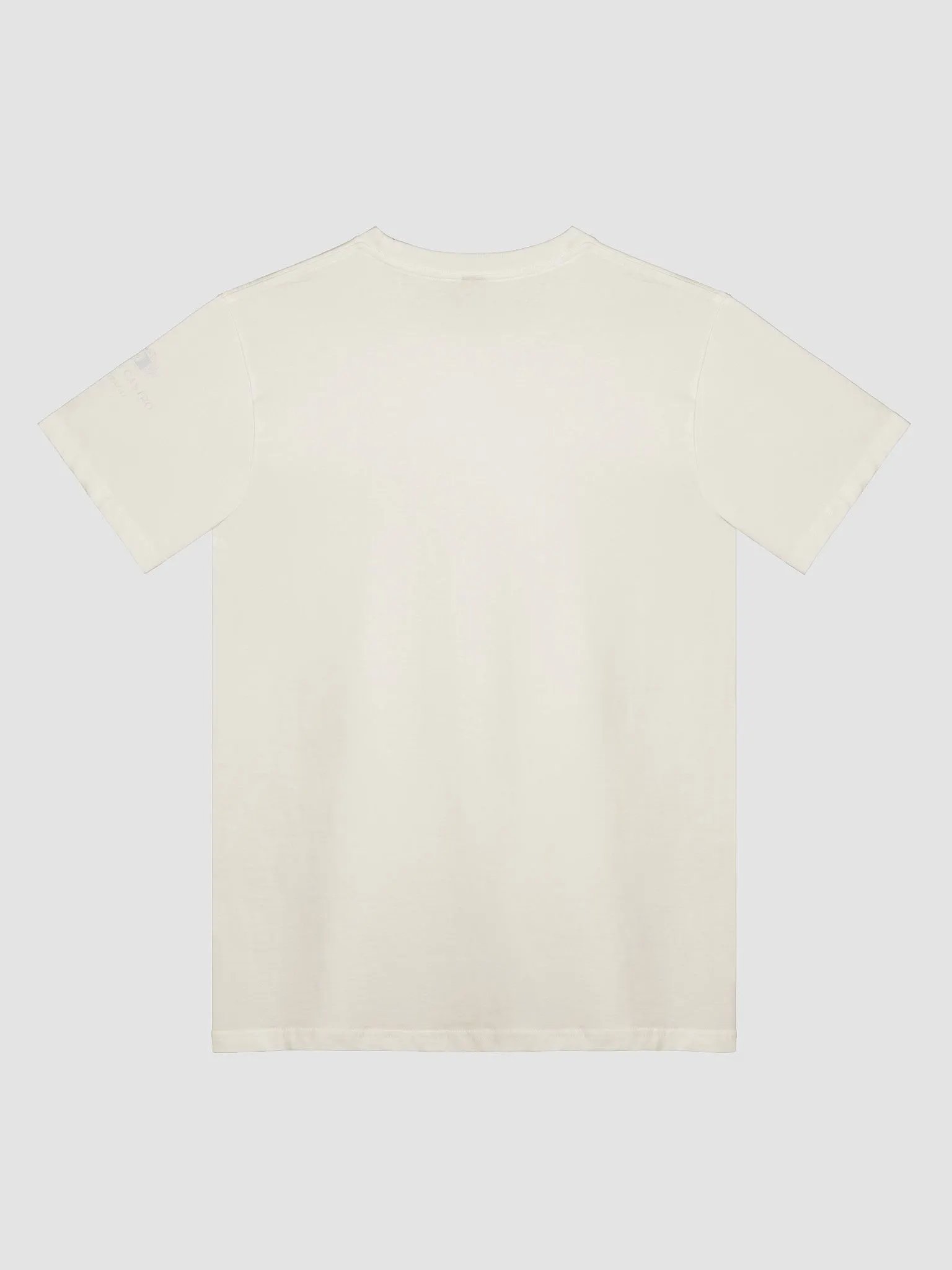 Golden Gate Park Raccoons T-Shirt product image (2)