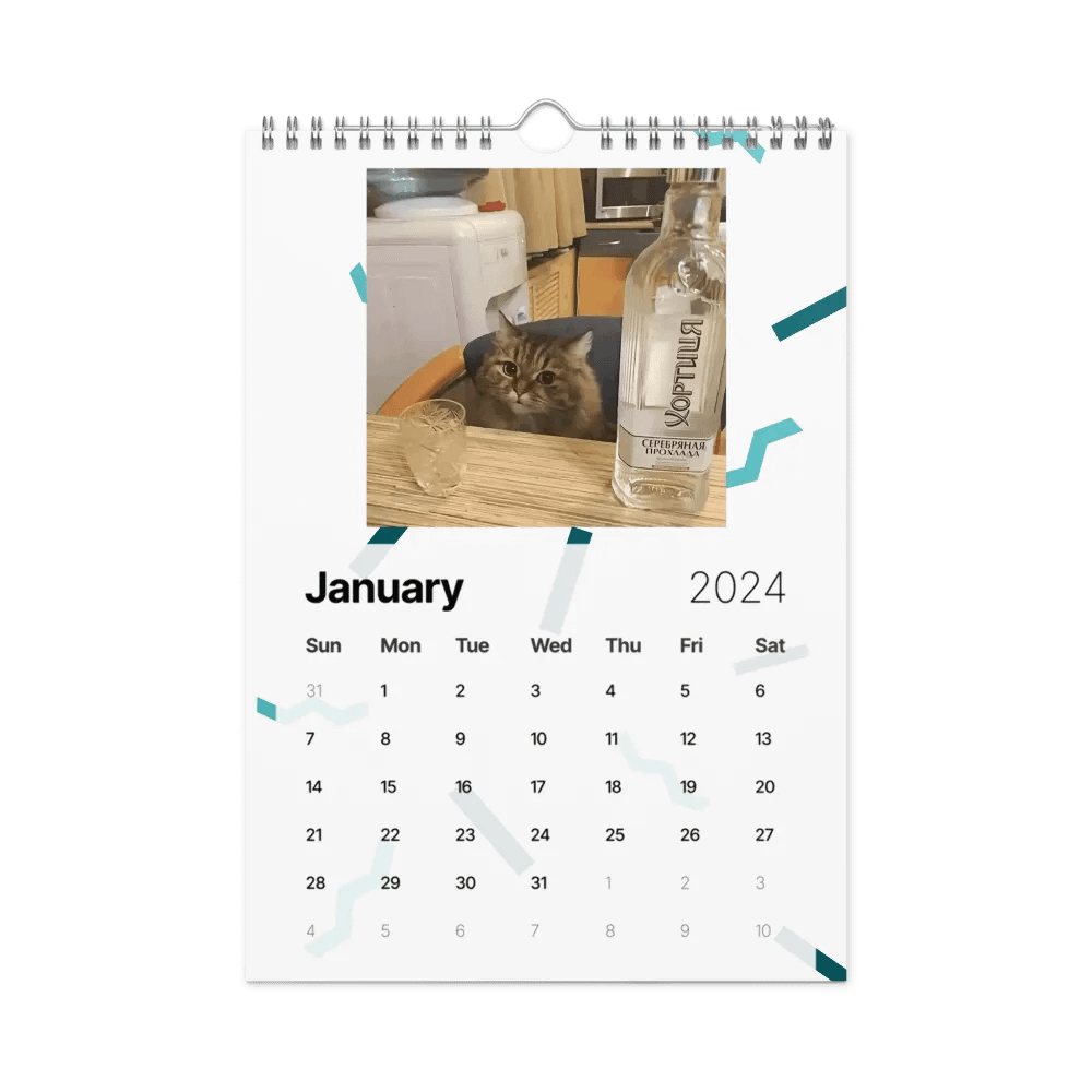 Wall Calendar (2024): Meme Cats product image (8)