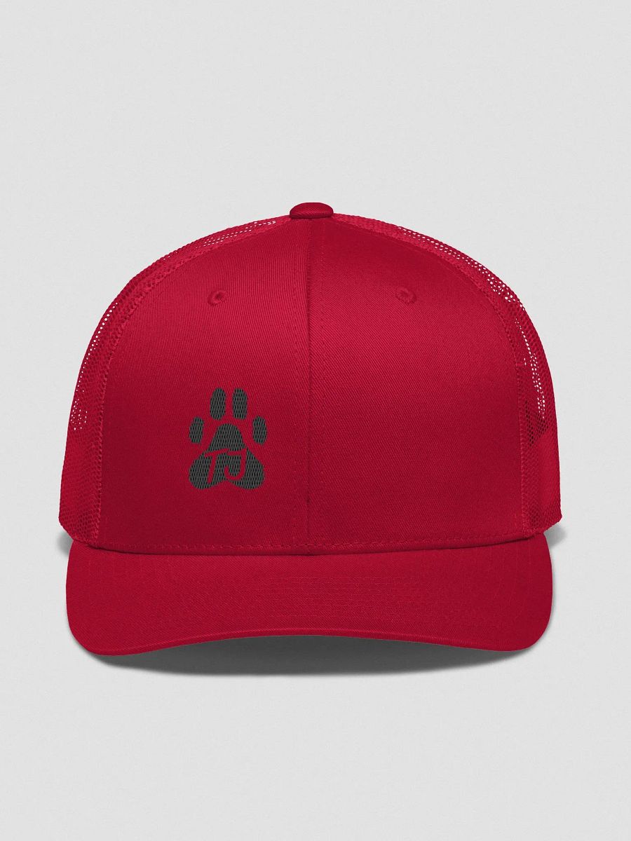 TJ Paw Retro Trucker Hat (black detail) product image (1)