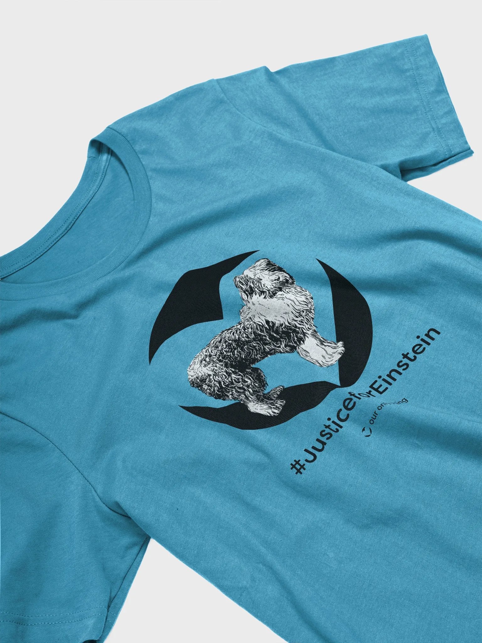 Premium #JusticeforEinstein Unisex Supersoft T-shirt product image (43)