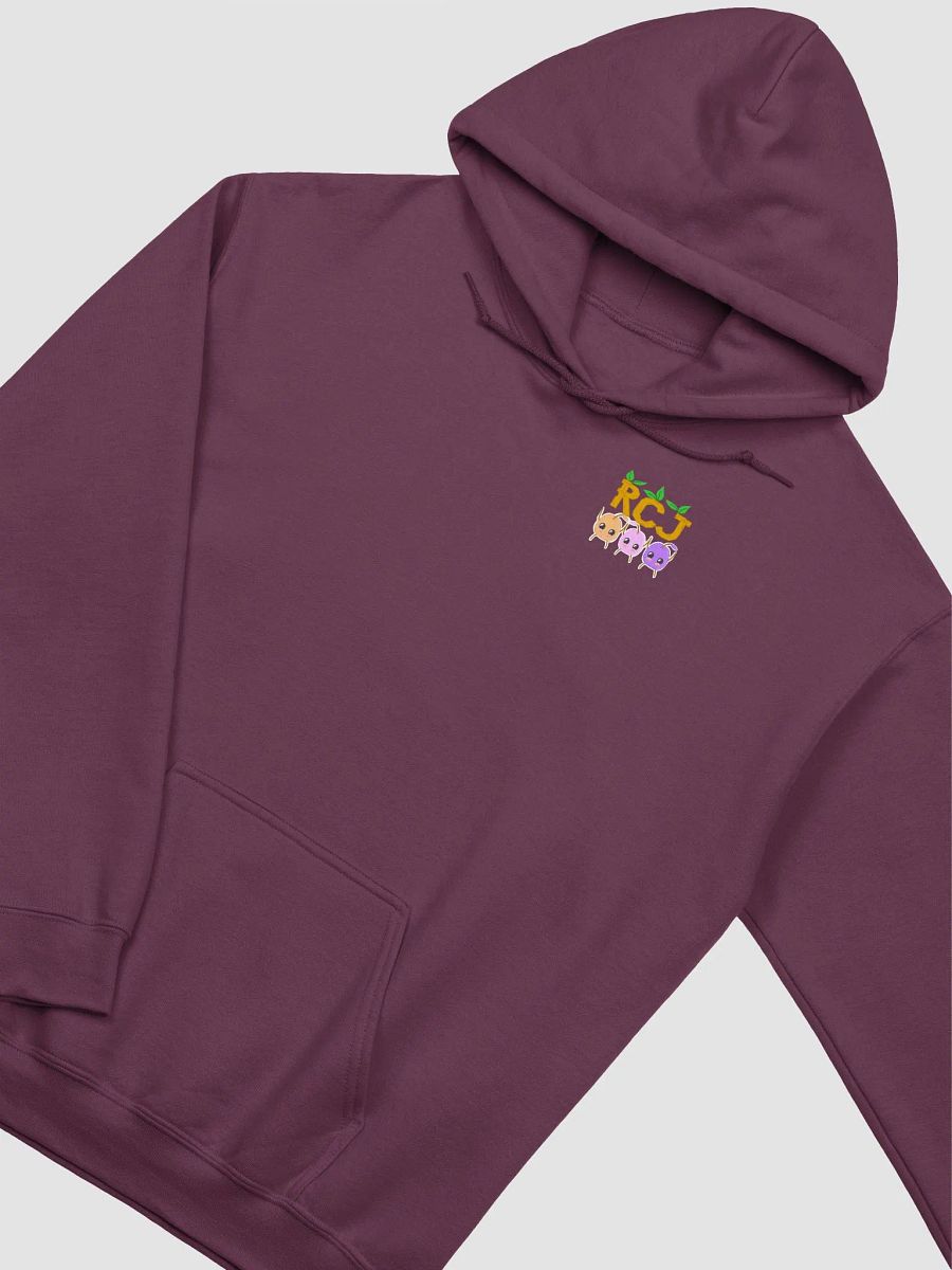 RCJ Hoodie product image (3)