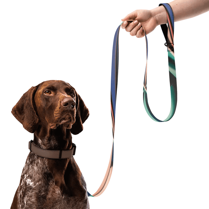 Vibrant Sublimation Pet Leash product image (1)