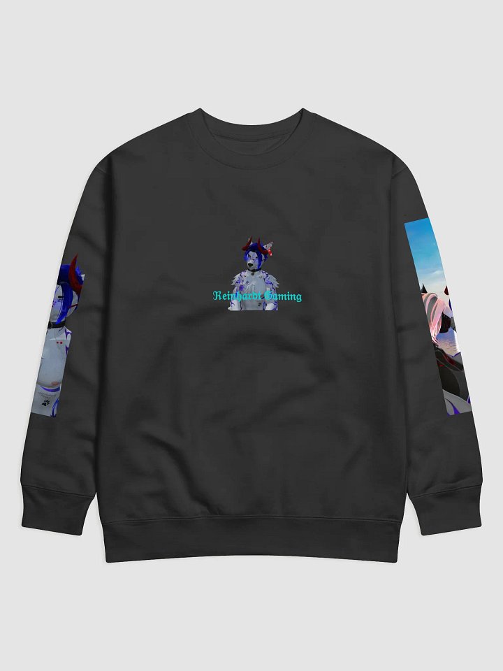 Reinhardt Gaming exclusive pull over product image (1)