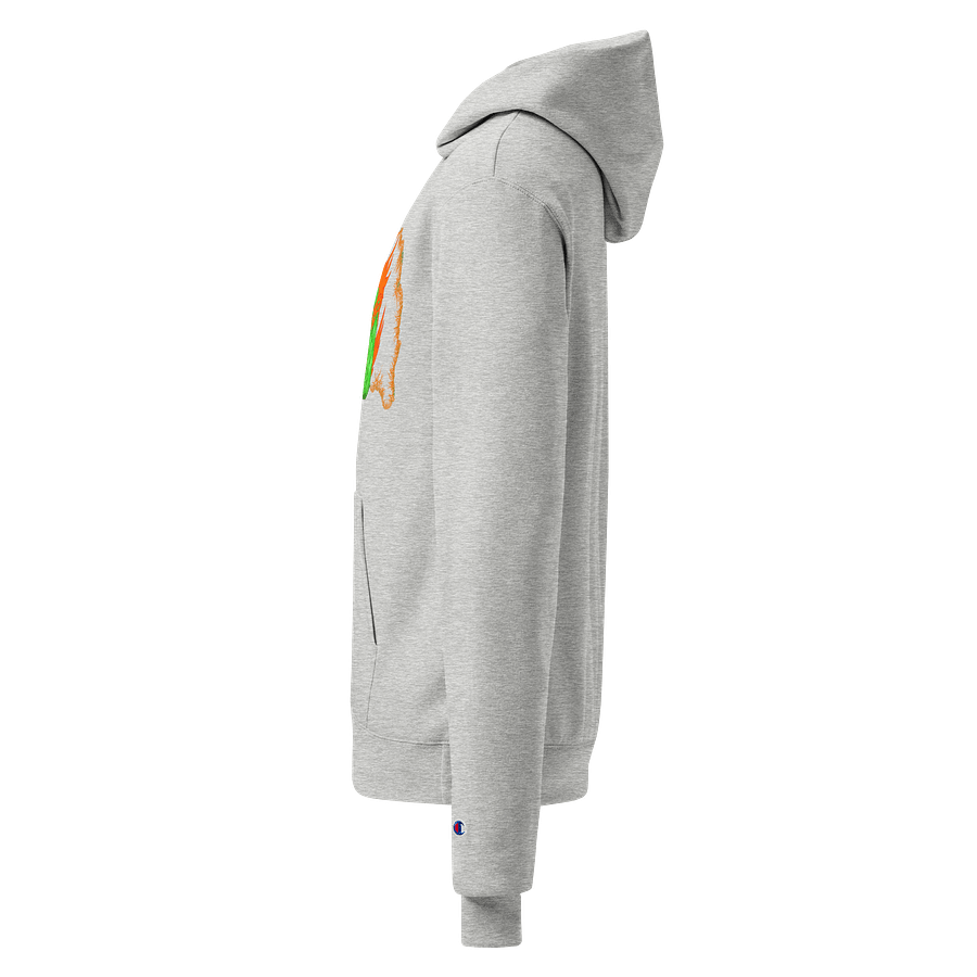 Dragonfire Champion Hoodie product image (3)