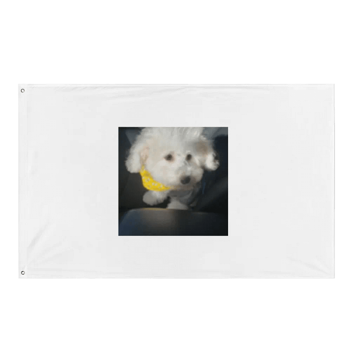snowball flag product image (1)