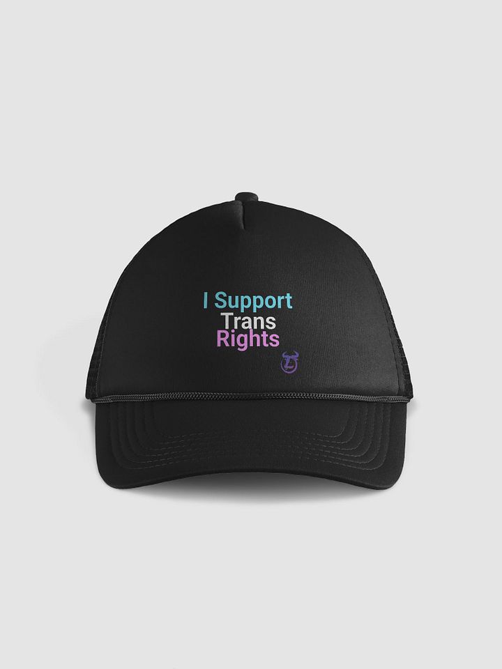 I Support Trans Rights Snapback product image (1)