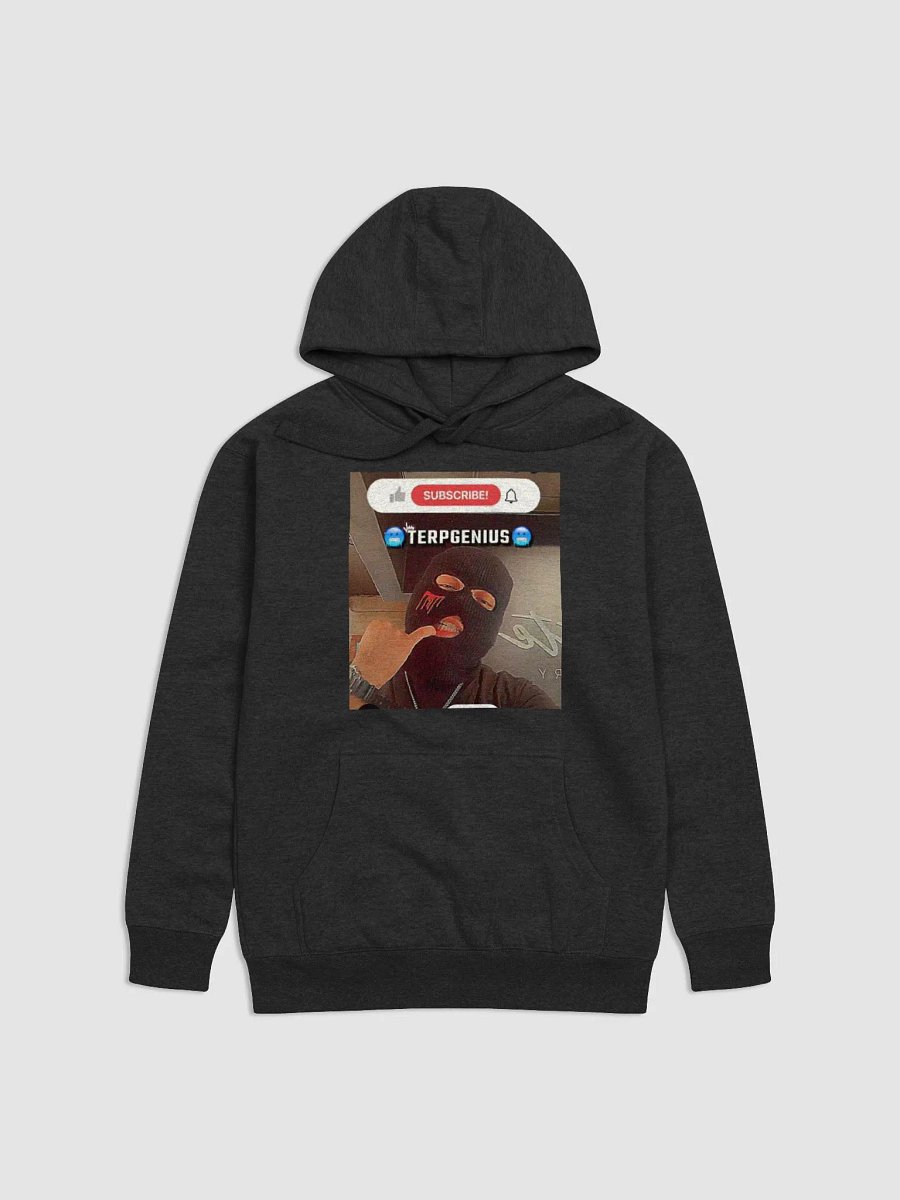 terp genius hoodie product image (1)