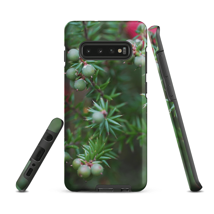 Berries product image (3)