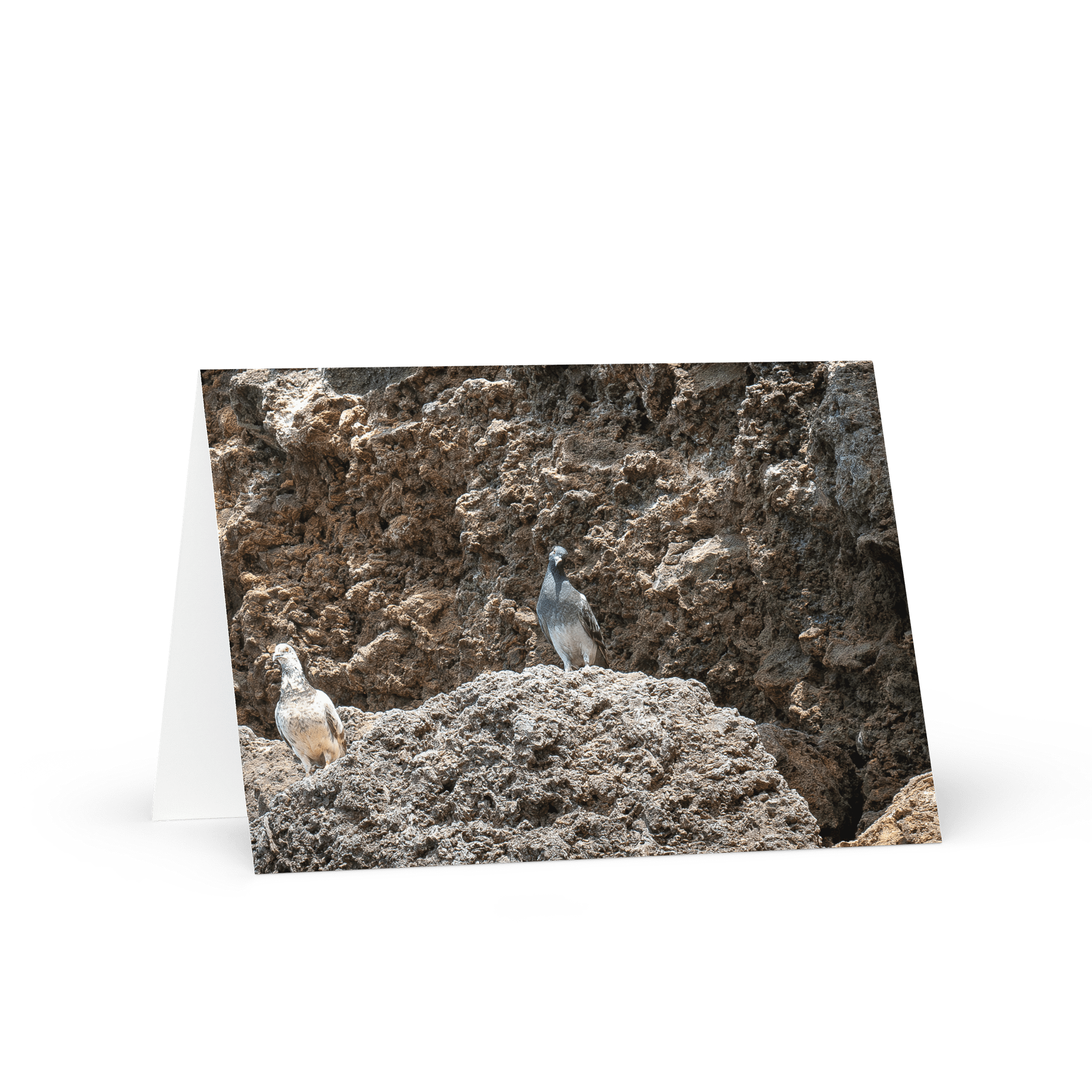 Curious Birds Greeting Card product image (1)