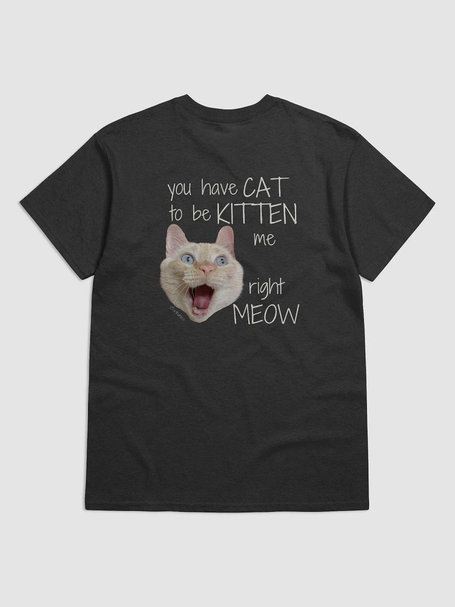 You have CAT to be KITTEN me right MEOW Shirt (G) product image (1)