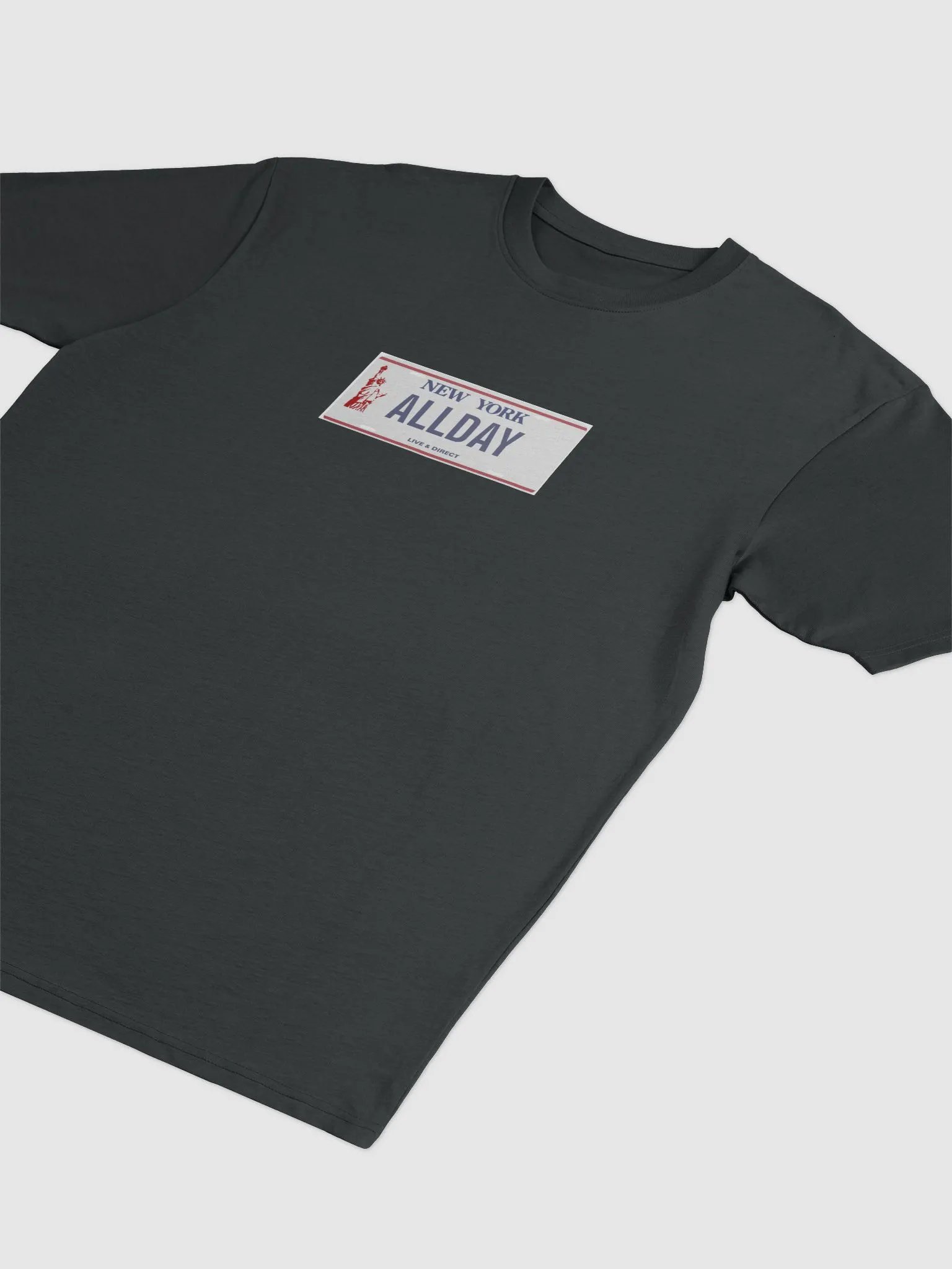 ALLDAY License Plate Tee Black product image (8)