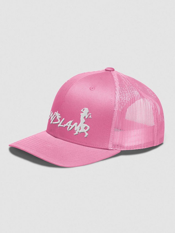 Embroidered Pink Trucker Snapback Hat product image (32)