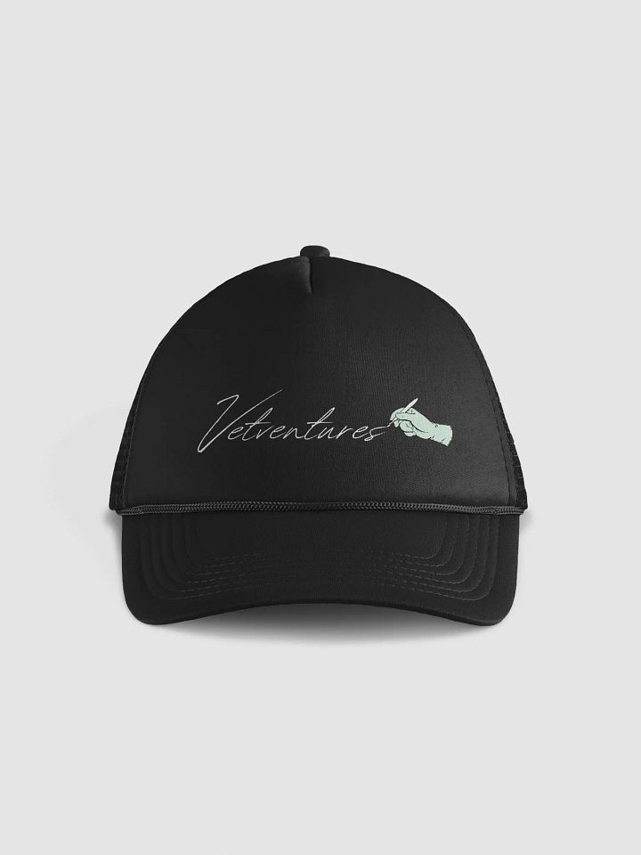 Vetventures Signature Cap product image (1)