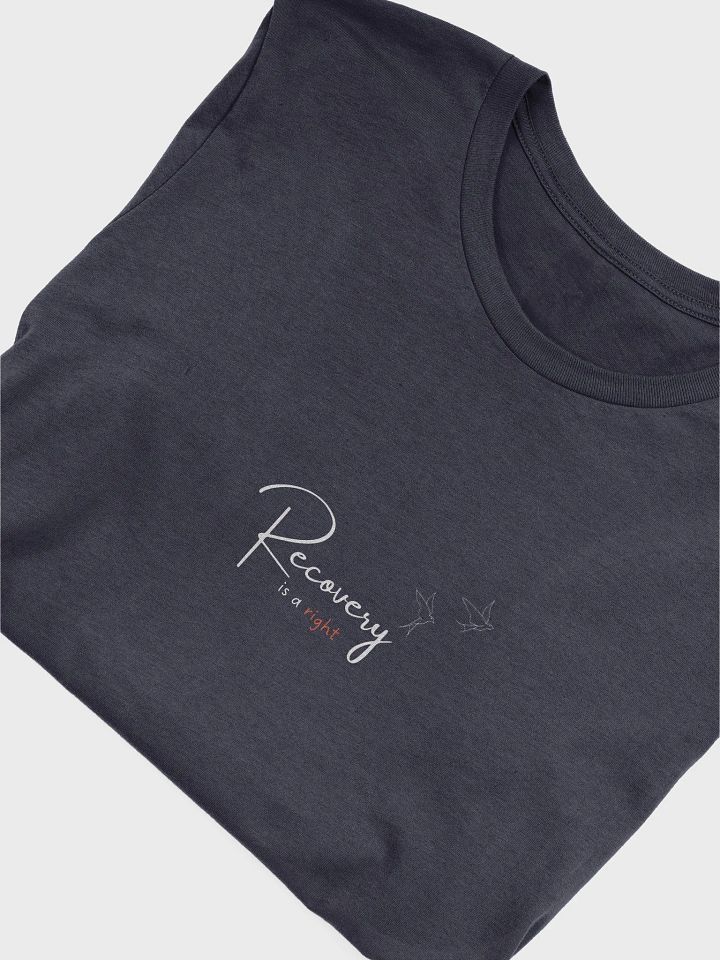 Recovery is a Right product image (1)