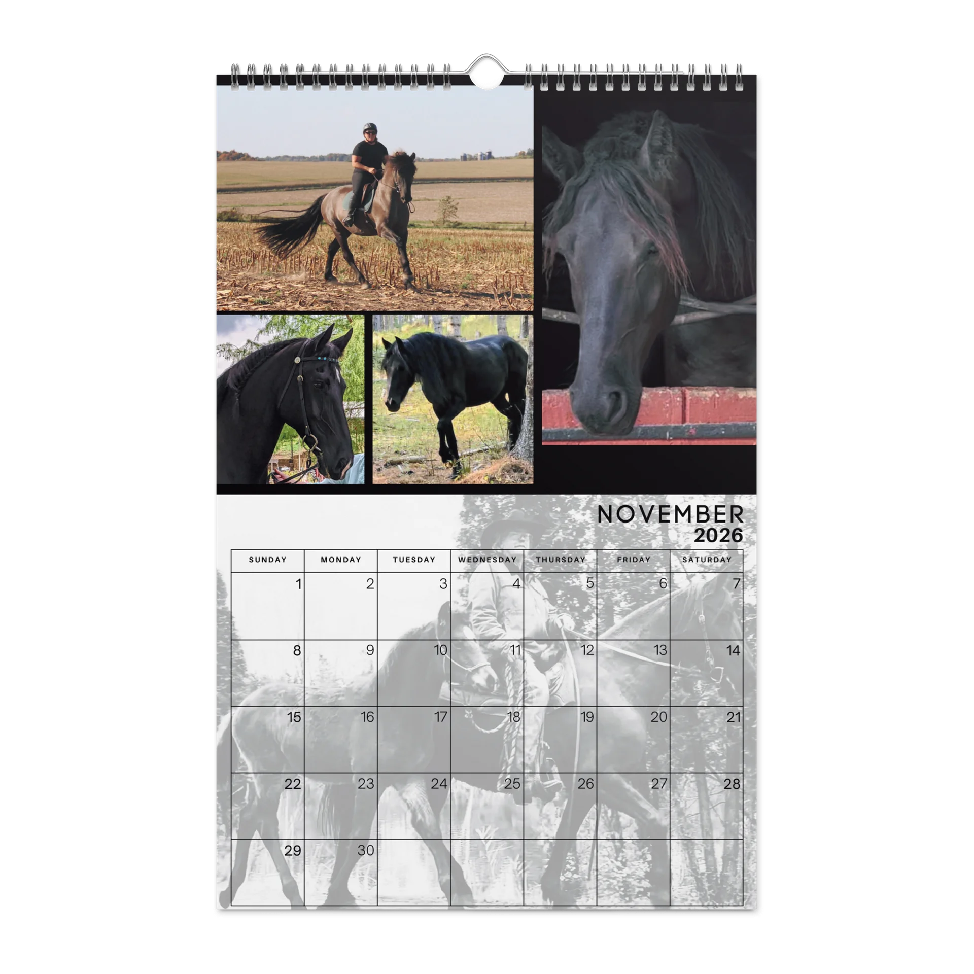 2026 Moriesian Horse Registry Calendar product image (11)
