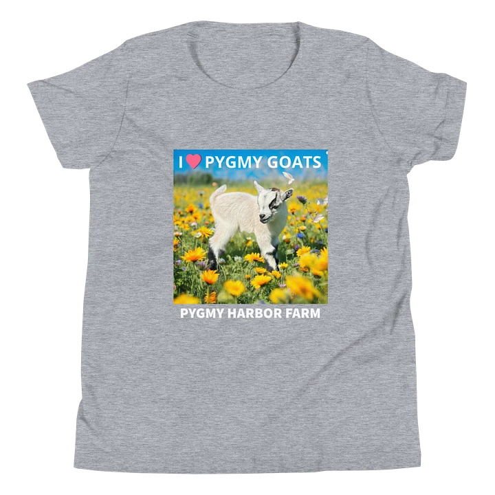 I LOVE PYGMY GOATS YOUTH T-SHIRT product image (1)