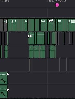 Custom Audio up to 500 words product image (1)