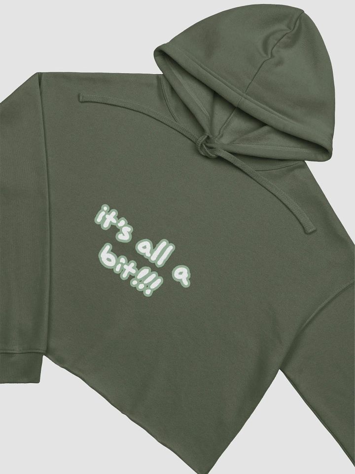 “It’s all a bit!!!” (lined design, #96B697) fleece cropped hoodie product image (13)