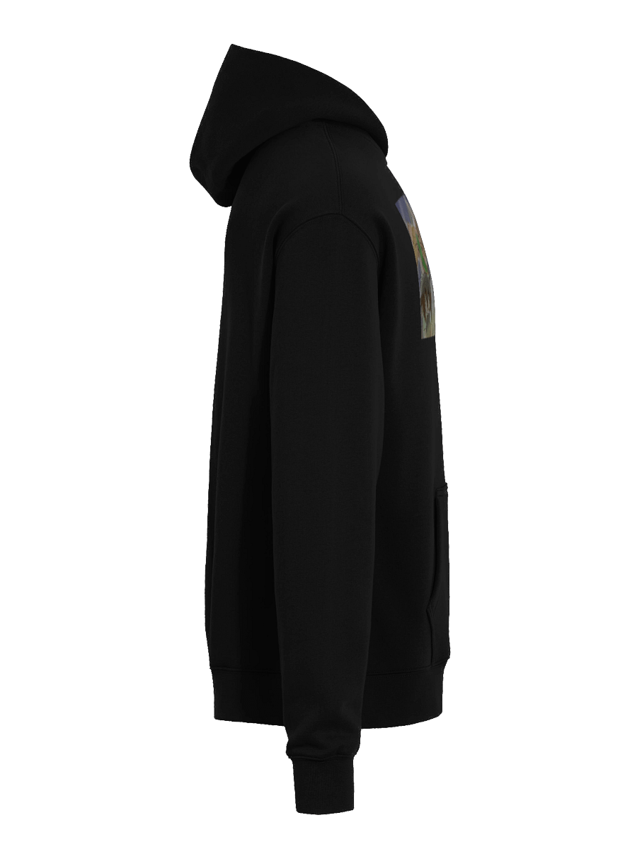 Finding a new member for this blog August Hoodie product image (31)