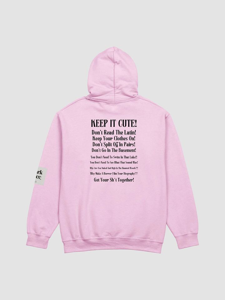 Don't Read The Latin BSFR Hoodie product image (2)