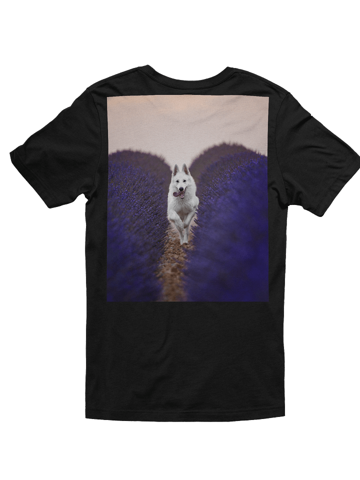 Rasta in the lavender fields product image (8)