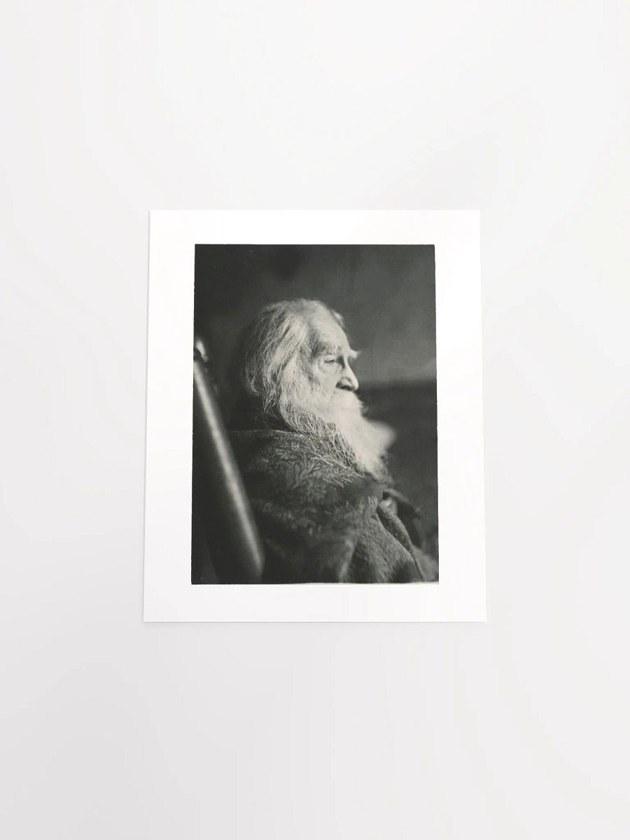 Walt Whitman in Camden, N.J. by Thomas Eakins - Print product image (4)