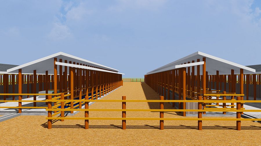 120 Dairy Cows Design Plan product image (8)