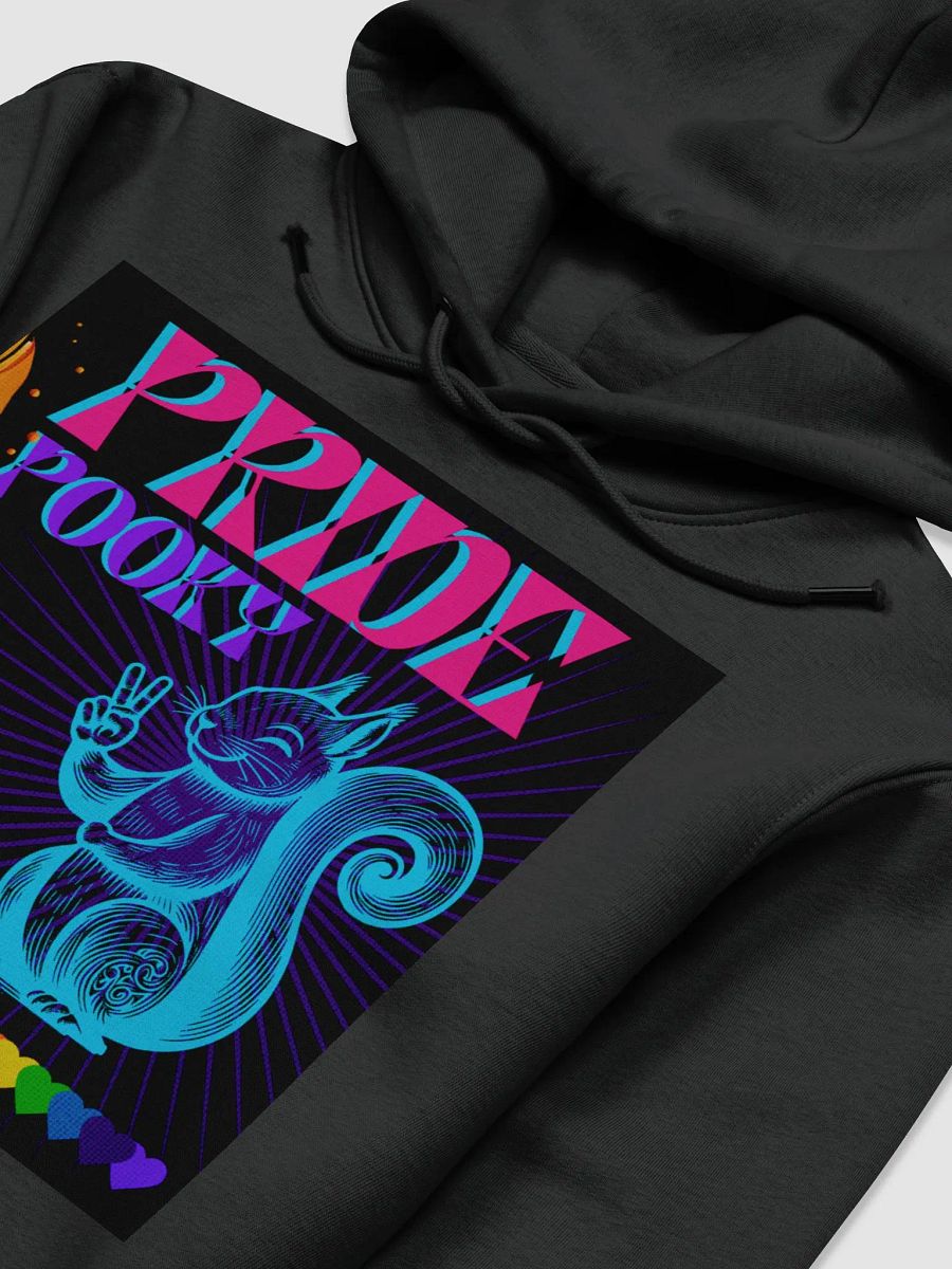 Prideful Pooky Eco Hoodie product image (3)