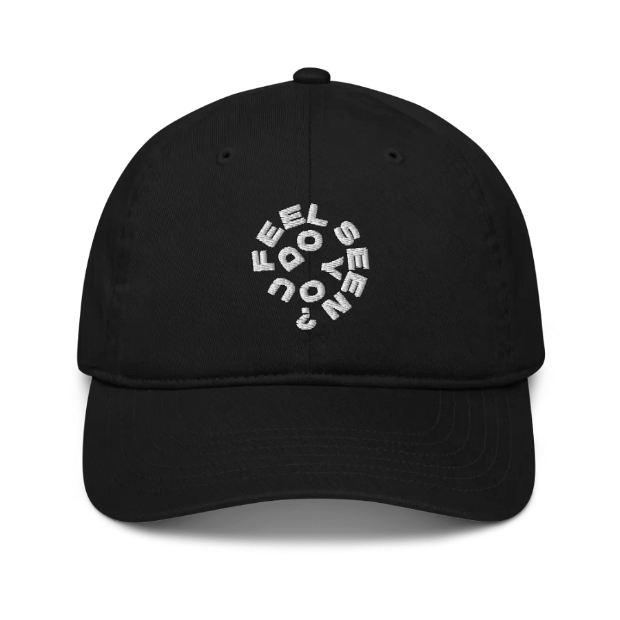 DYFS Cap product image (1)
