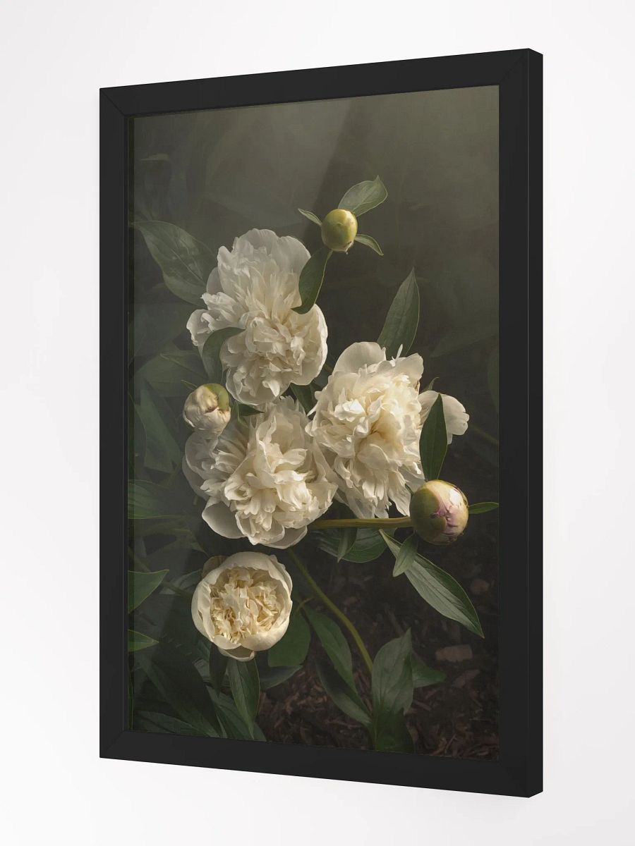 White Peonies product image (4)