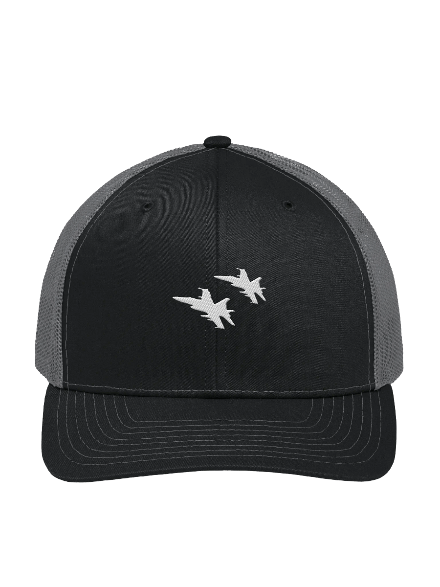 Twin Hornets Logo Hat, Black product image (1)