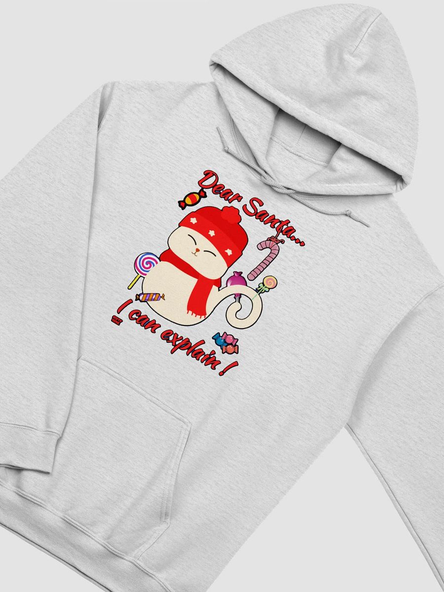 DEAR SANTA, I CAN EXPLAIN! product image (31)