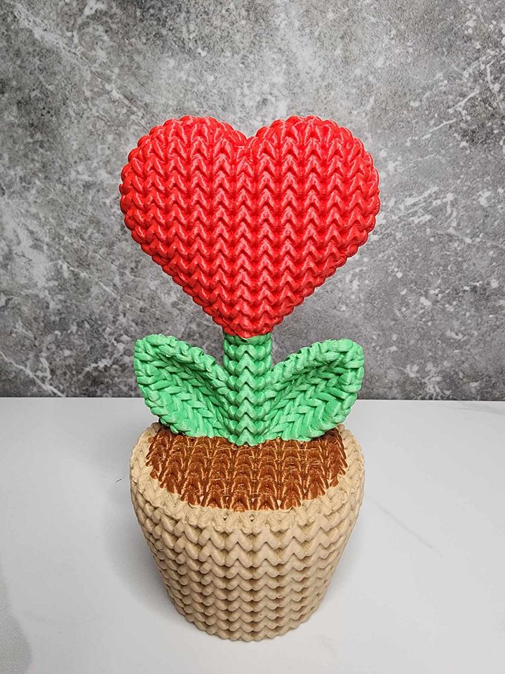 "Knitted" Heart Plant in a Pot product image (1)