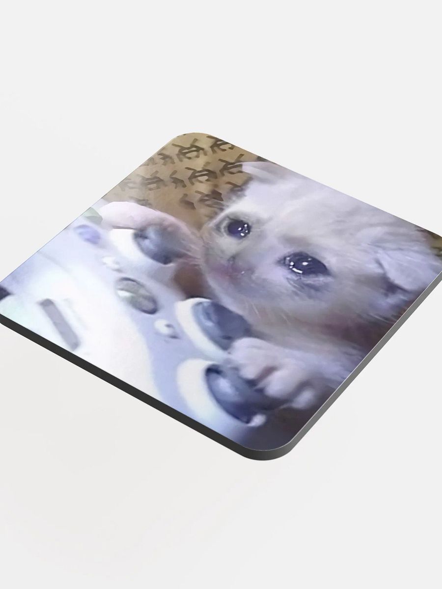 Glossed Cork Coaster: Meme Cats product image (4)