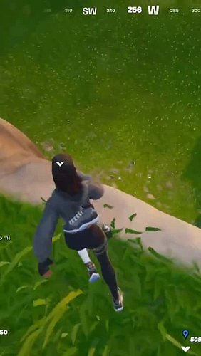 Taking crown and panic mode 😅 #fortnite #gamingmoments #crownchaos #zerowin #twitchstreamer #unicornloca #fortnitegameplay