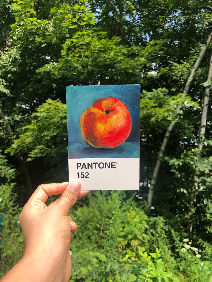 PANTONE Challenge • Fruits Set, Peach • Oil Painting product image (2)