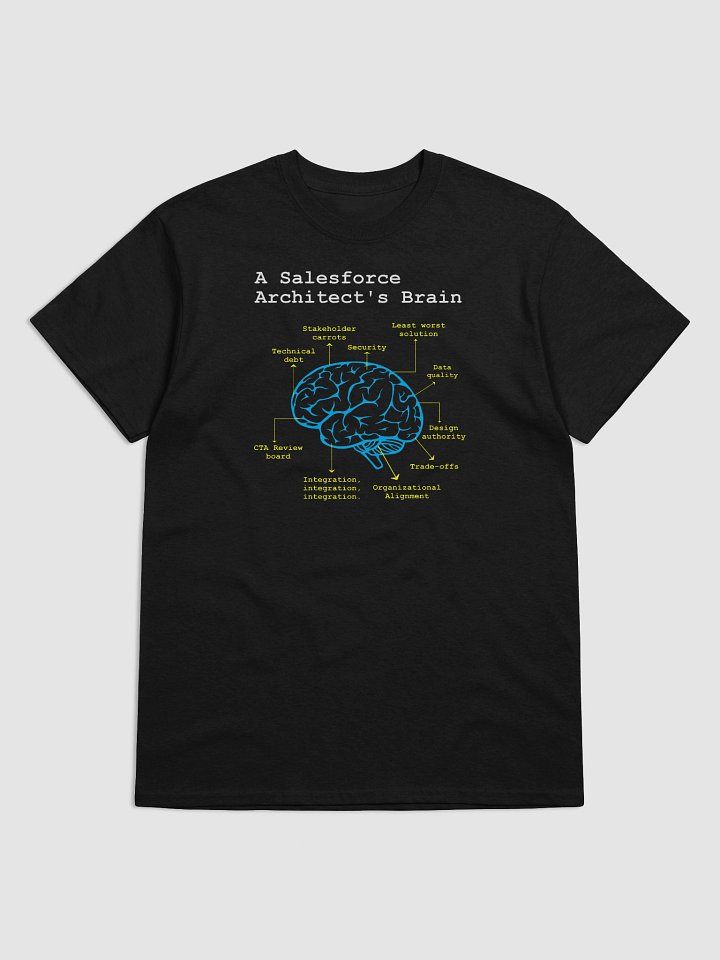 A Salesforce Architect’s Brain product image (2)
