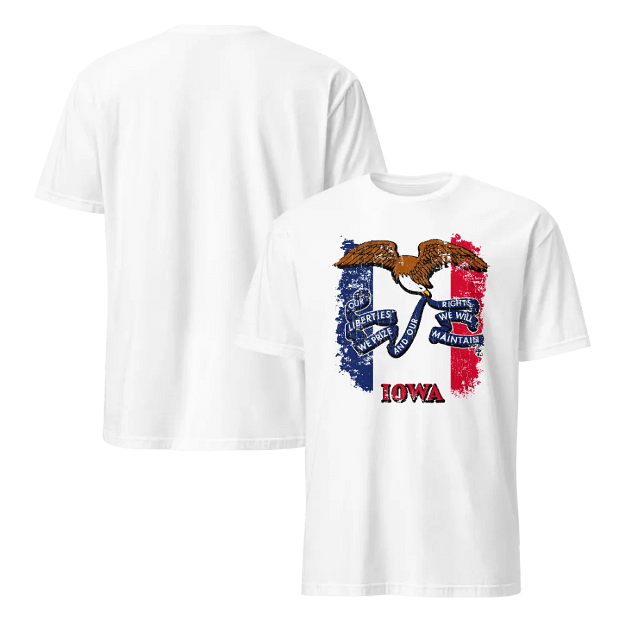 Iowa State Flag product image (5)