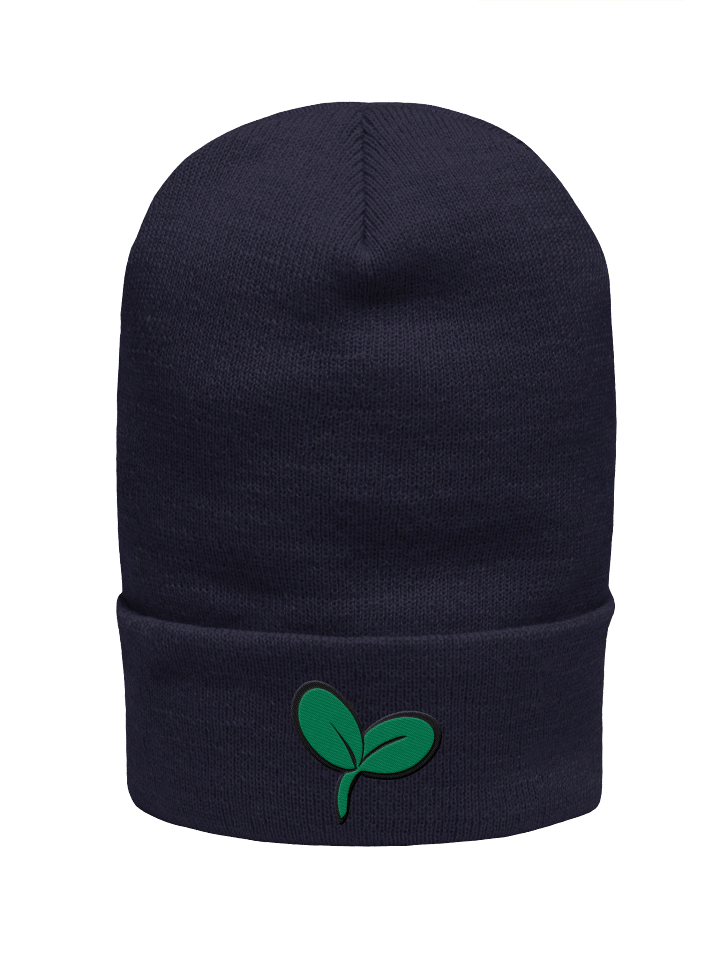 Sprout Beanie product image (1)