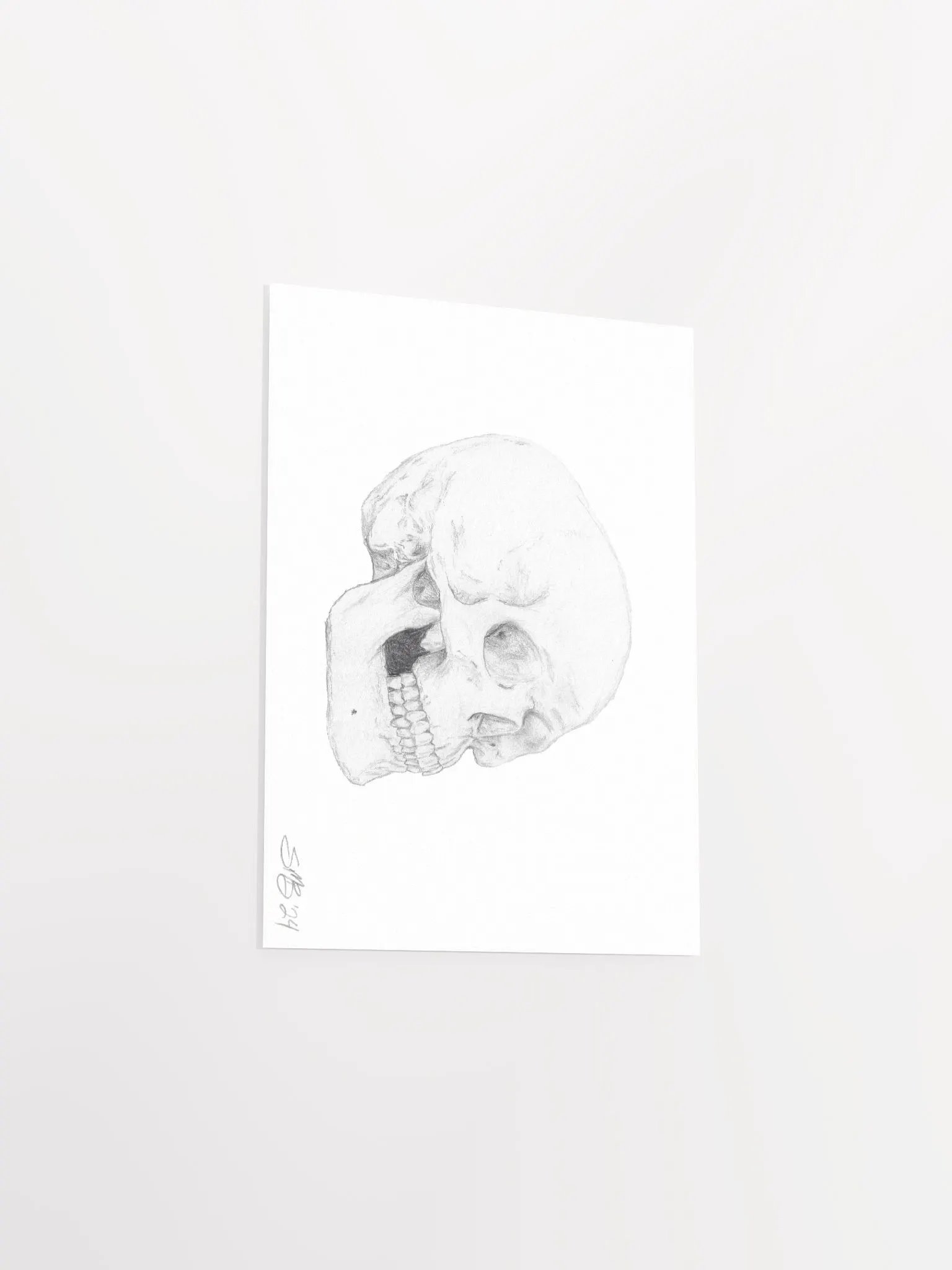 Skull Wall Art product image (5)