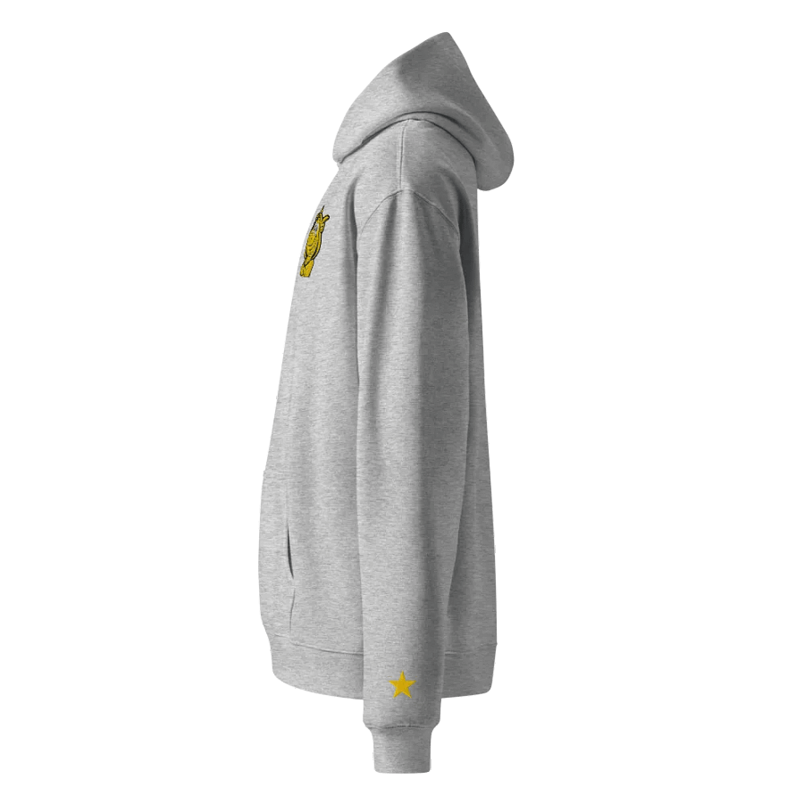 1 YEAR GOLDEN LONELY GOAT Unisex Premium Oversized Hoodie product image (2)