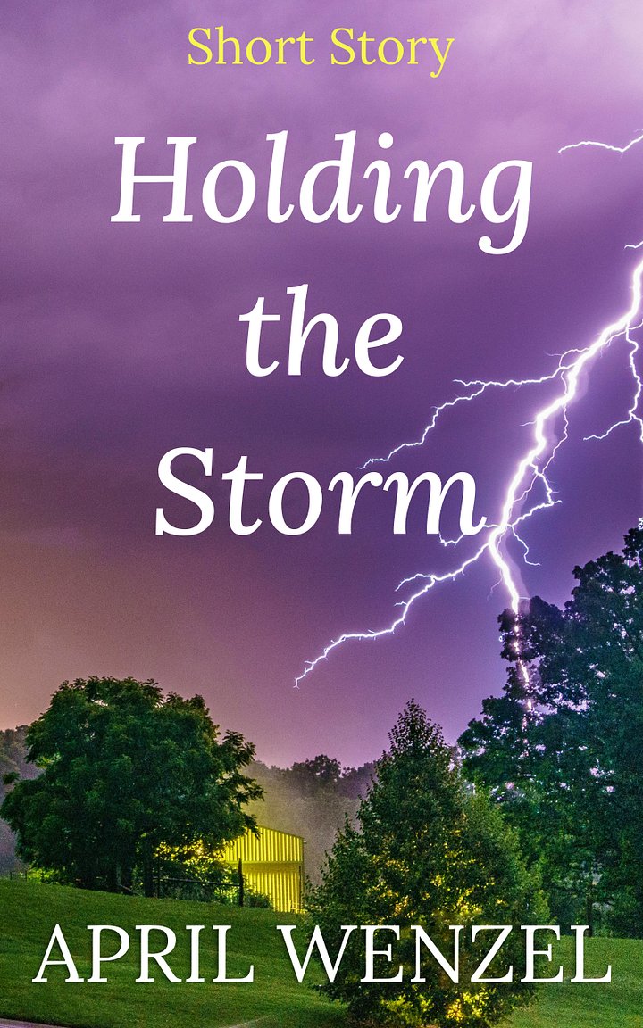 Holding the Storm: Short Story (eBook) product image (1)
