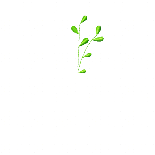 Design2205264 product image (2)