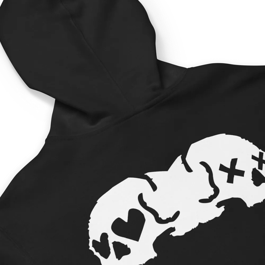 DL flag Fleece Zip Up Hoodie product image (4)