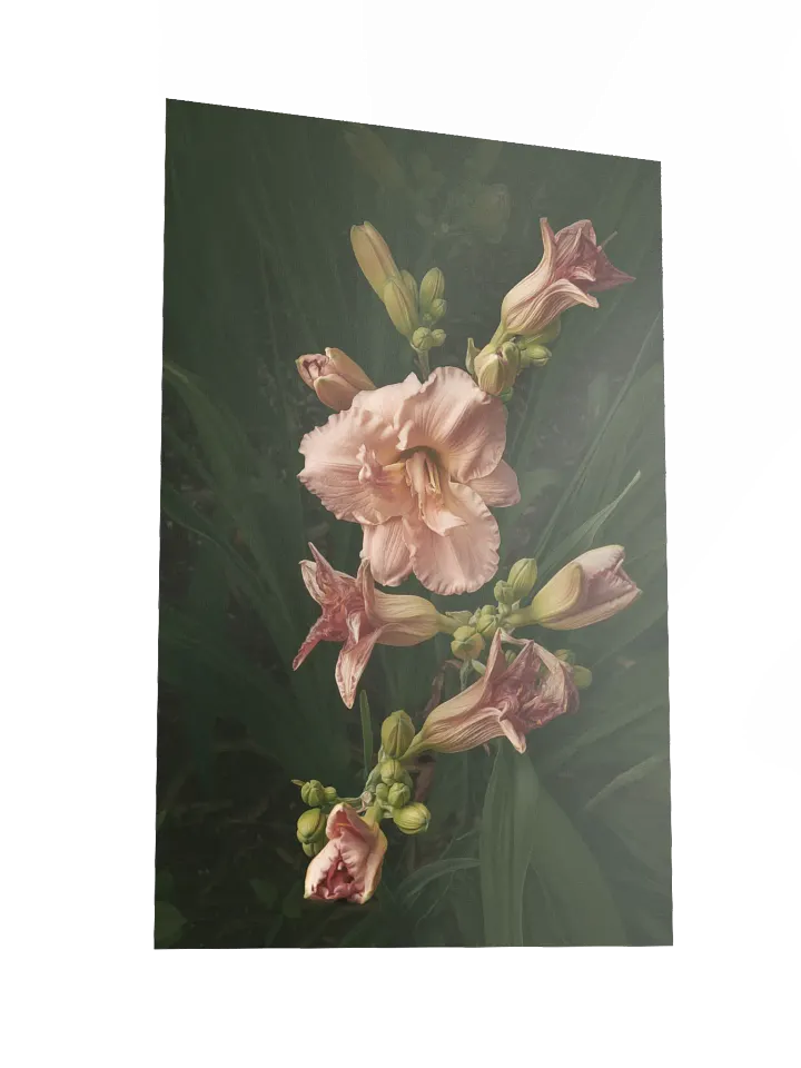 Cascasde of Daylilies product image (2)
