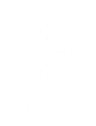 100shadows