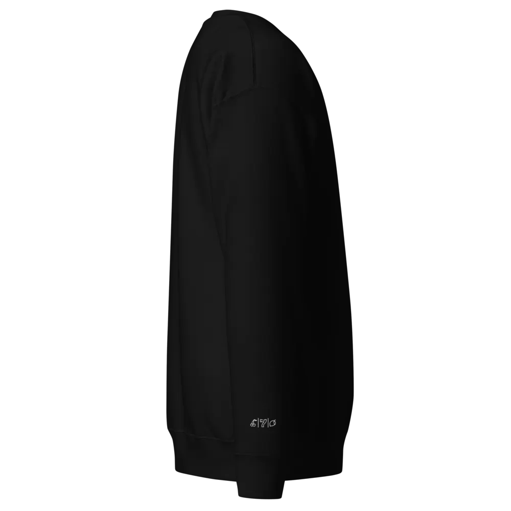 Cdog Spins Sweatshirt Embroided Black Full Logo product image (2)