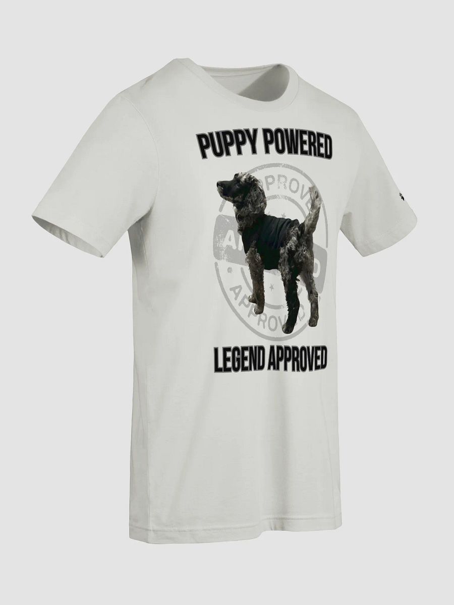 LEGEND APPROVED T-Shirt product image (21)