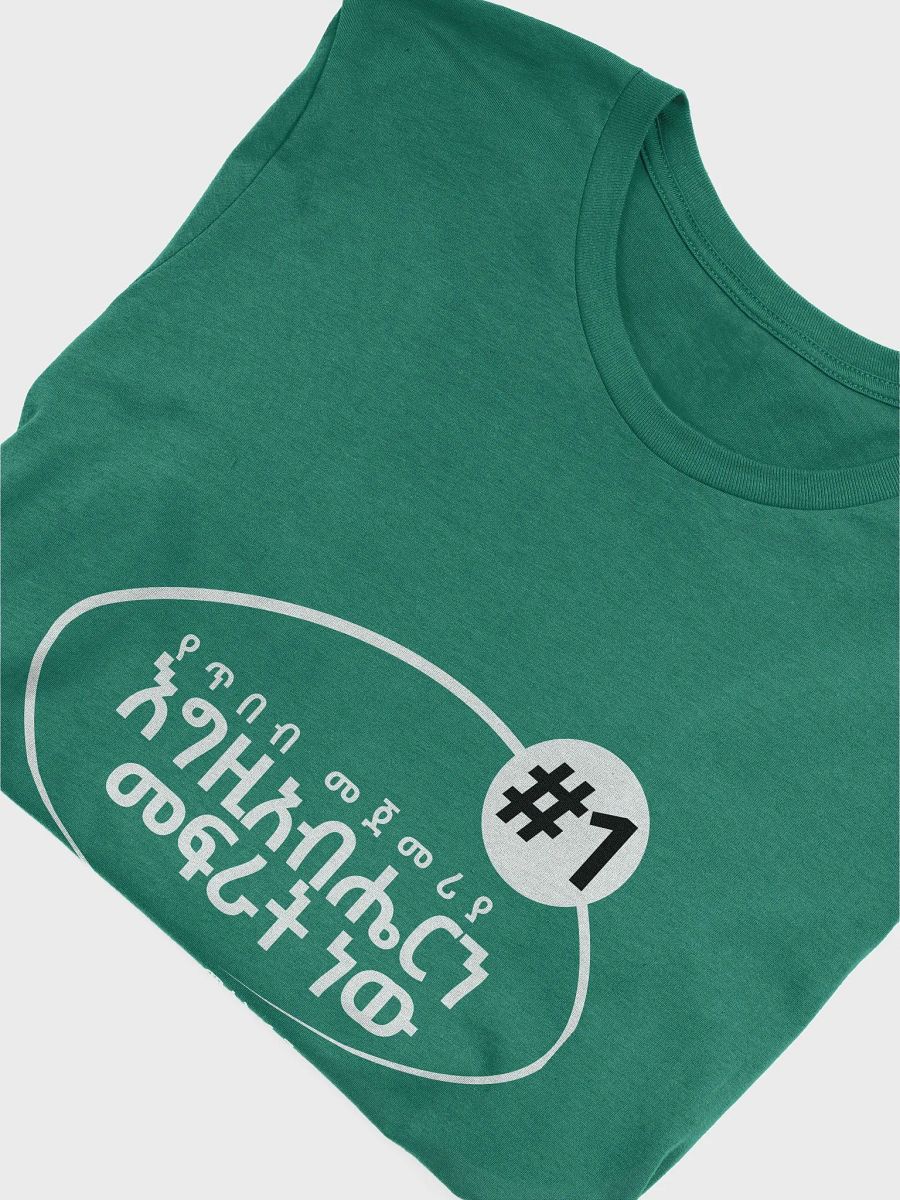 'Proverbs 1:7' T-shirt product image (2)